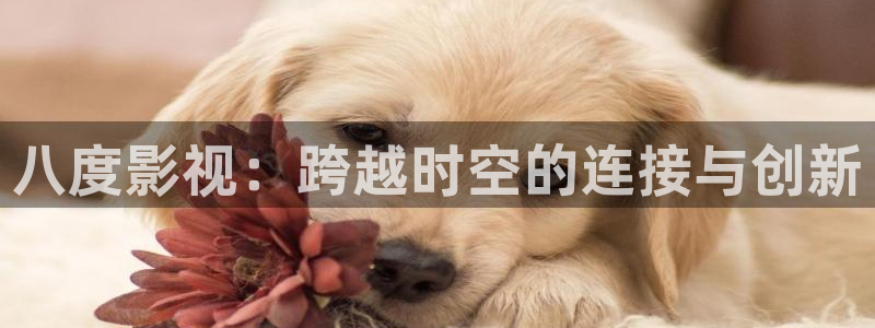 yy私人免费影院