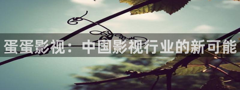 私人影院加盟有哪些